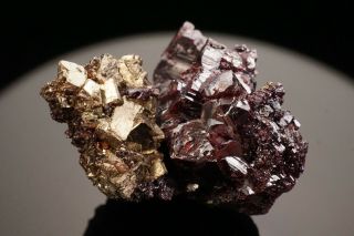 HISTORIC Pyrargyrite & Pyrite Crystal GRAND PRIZE MINE,  NEVADA - Ex.  Holden,  etc. 5