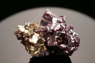 HISTORIC Pyrargyrite & Pyrite Crystal GRAND PRIZE MINE,  NEVADA - Ex.  Holden,  etc. 9