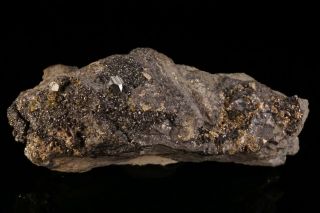 Miargryite Crystal with Sphalerite CERRO DE POTOSI,  BOLIVIA 11