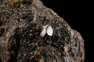 Miargryite Crystal with Sphalerite CERRO DE POTOSI,  BOLIVIA 2