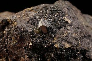 Miargryite Crystal with Sphalerite CERRO DE POTOSI,  BOLIVIA 3
