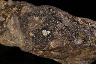 Miargryite Crystal with Sphalerite CERRO DE POTOSI,  BOLIVIA 9