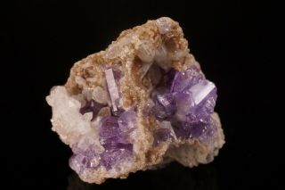 Classic Purple Fluorapatite Crystal Mt.  Apatite,  Maine - Ex.  Willard Perkin
