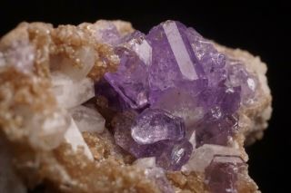 CLASSIC Purple Fluorapatite Crystal MT.  APATITE,  MAINE - Ex.  Willard Perkin 3