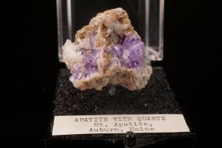 CLASSIC Purple Fluorapatite Crystal MT.  APATITE,  MAINE - Ex.  Willard Perkin 5