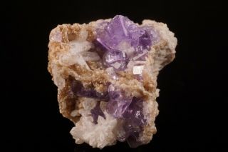 CLASSIC Purple Fluorapatite Crystal MT.  APATITE,  MAINE - Ex.  Willard Perkin 7