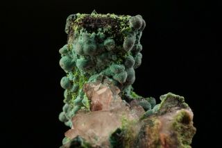Rosasite & Conichalcite on Enargite & Quartz Crystal TSUMEB - Ex.  Jensen 5