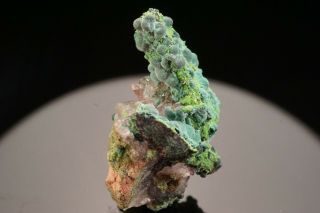 Rosasite & Conichalcite on Enargite & Quartz Crystal TSUMEB - Ex.  Jensen 7