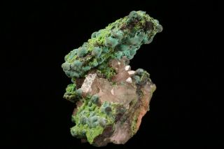 Rosasite & Conichalcite on Enargite & Quartz Crystal TSUMEB - Ex.  Jensen 9