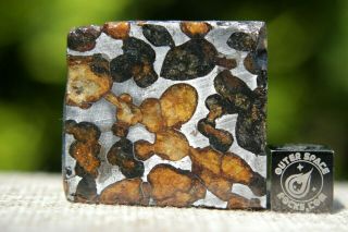 Sericho Pallasite Meteorite From Kenya Africa Habaswein 24.  5 Gram Part Slice