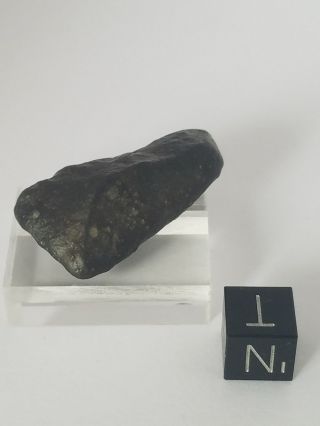 Nwa 11721 Rumuruti Chondrite (r3) 10.  43 Grams