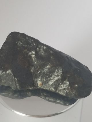 NWA 11721 Rumuruti chondrite (R3) 10.  43 grams 3