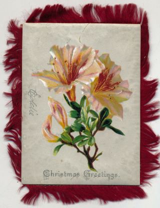 C1890 Fringed 2 Sided Victorian Christmas Greetings Card