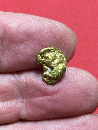 Natural Gold Nugget Specimen With Quartz Rock Bullion From Oregon 2.  56 Gram A62