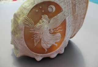 Gorgeous Hand Carved Antique Cameo Conch Shell