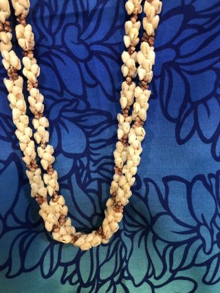 Hawaiian 100 Momi,  Kahelelani Shells 2 Pikake Style Strands Lei 40” Long