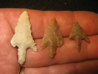 3 Authentic West Texas Bird Point Arrowheads,  Prehistoric Indian Artifacts,  Wt2