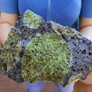 Large 8 1/2 Inch Gem Peridot Crystals With Chromium Diopside In Basalt