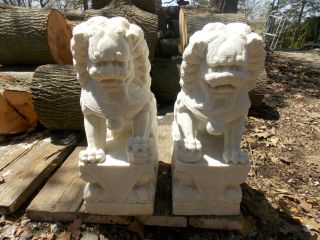 2 Large (heavy) Concrete Foo Dog Figures 18.  5 " (t) Pick Up Only