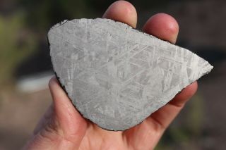 Muonionalusta Meteorite Etched Full Slice 66.  3 Grams