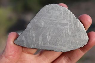 Muonionalusta meteorite etched full slice 66.  3 grams 2