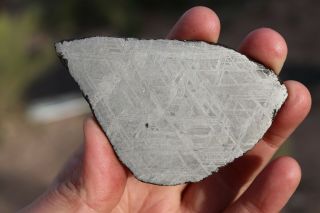 Muonionalusta meteorite etched full slice 66.  3 grams 3