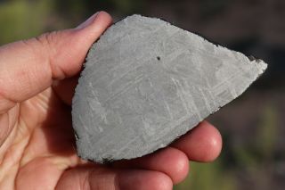 Muonionalusta meteorite etched full slice 66.  3 grams 4