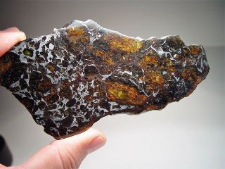 Museum Quality Large Gorgeous Crystals Stable Admire Meteorite 121 Gm