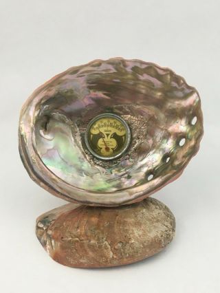 Vintage Large Abalone Shell With Thermometer Souvenir