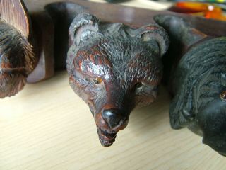 Pipe Rack.  Lovely Hand Carved.  Dogs,  Bear,  Tiger.  4x Pipe.  Glass Eyes. 5