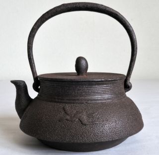Japanese 200ml Iron Teapot Kettle Tetsu Kyusu : signed : design Crane 2