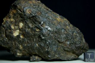 Sericho Pallasite Meteorite From Kenya Africa Habaswein 521 Gram Awesome Shape