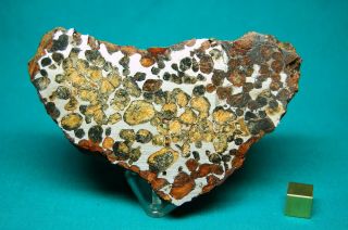 Sericho Meteorite Pair 736 Grams