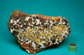 Sericho meteorite pair 736 grams 2