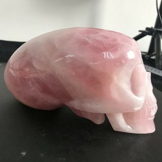 2.  27kg 7.  4  Good Pink Natural Rose Quartz Crystal Alien Long Head Skull Sq