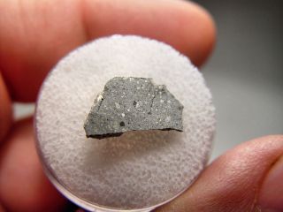 Turkish Fall Rare Howardite Cut Fragment Saricicek (bingol) Meteorite.  61 Gm