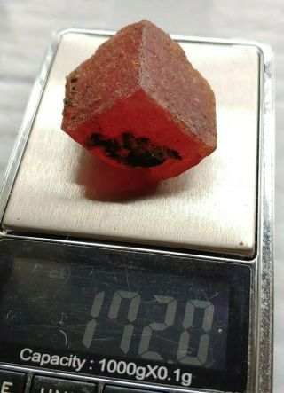 Large Rhodochrosite Crystal 34 Grams - 171,  Carats Sweet Home Mine Alma,  Colorado