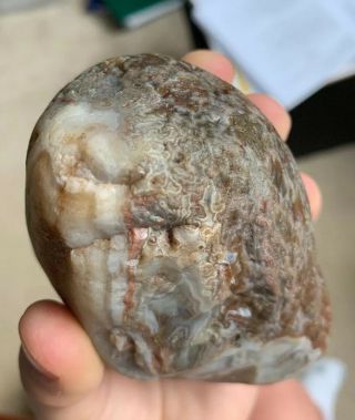 Lake Superior Agate LARGE 1 lb.  13.  1 Oz.  Huge Tube Agate.  Great Bands And Colors 12
