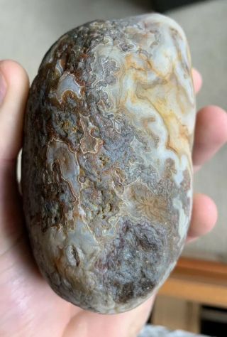 Lake Superior Agate LARGE 1 lb.  13.  1 Oz.  Huge Tube Agate.  Great Bands And Colors 9