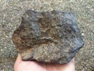 NWA Chondrite ORIENTED complete stone Meteorite 1407 Gr.  1.  4 kilo 4