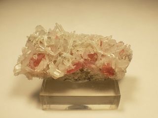 Colorado Rhodochrosite And Quartz Specimen Sweet Home Mine Collectors Piece