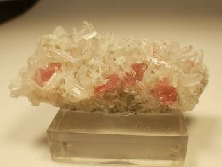 Colorado Rhodochrosite and Quartz Specimen Sweet Home Mine Collectors Piece 4