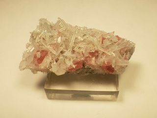 Colorado Rhodochrosite and Quartz Specimen Sweet Home Mine Collectors Piece 5