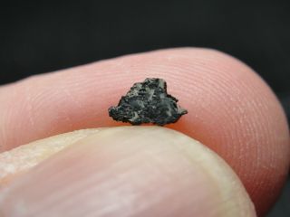 Meteorite Nwa 2737 Achondrite Martian Chassignite - 2737 - 0004 - 0.  05g - Rare
