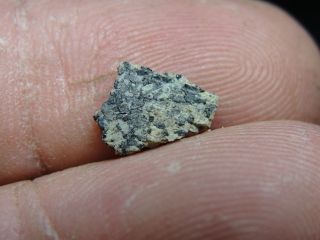 Meteorite Nwa 1950 Achondrite Martian Shergottite - 1950 - 0009 - 0.  12g Part Slice