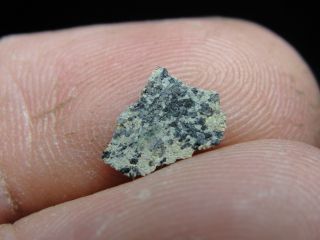 Meteorite NWA 1950 Achondrite Martian Shergottite - 1950 - 0009 - 0.  12g Part Slice 2