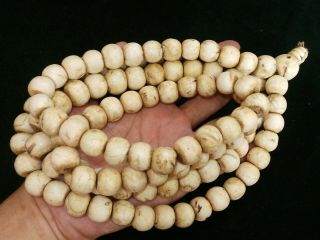 Old Nepal Tibet Buddhist 108 Large White Conch Shell Mala Prayer Beads Ii