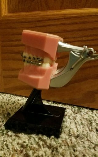 Dental Ortho Orthodontist Orthodontic Demo Display Model Vintage Medical Hygiene 3