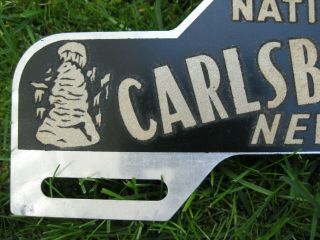 Vintage License Plate Topper Carlsbad Caverns National Park Mexico 1940 ' s 2