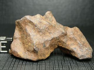 Imilchil/agoudal Iron Meteorite - Iml - 1818 - 87.  07g W/coa - Natural Patina - A,